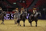 Quadrille - 00878